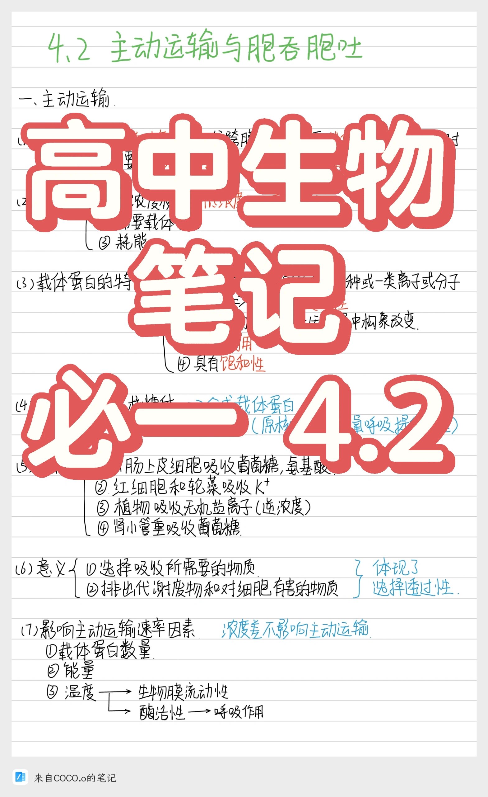 主动运输例子