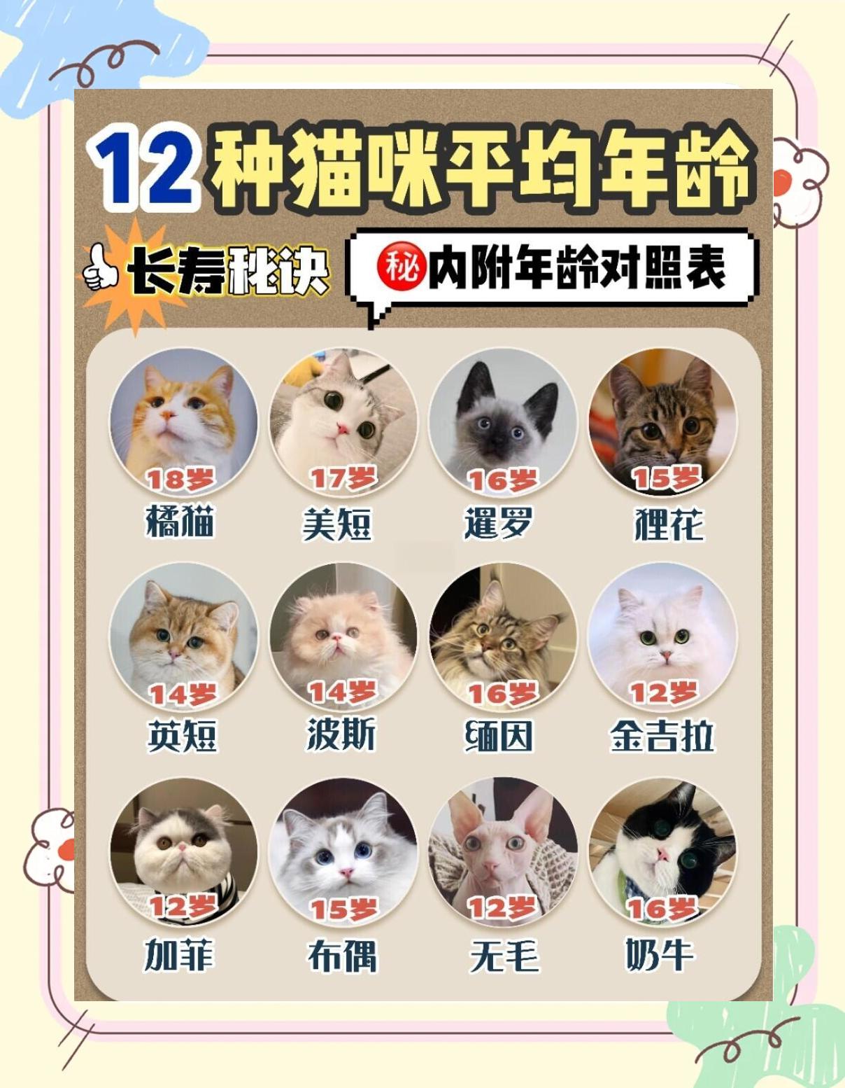 科普展现:猫平均寿命（加菲猫平均寿命）