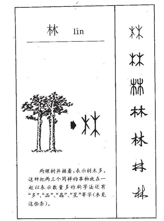 科普展现:林字取名寓意（林字取名寓意详解）
