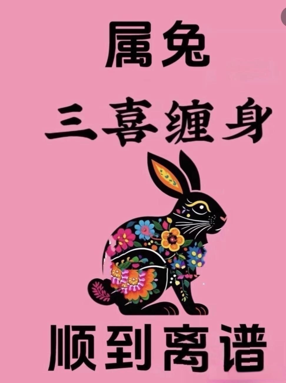 轻轻鸡毛空中舞,不知横财何时发打一生肖