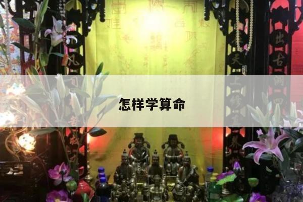 怎样学算命