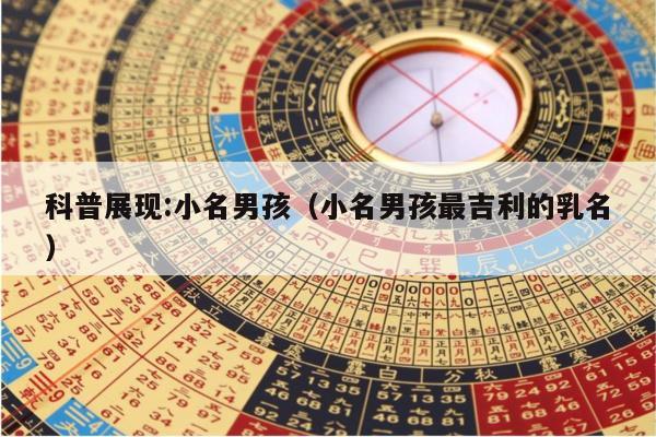 科普展现:小名男孩（小名男孩最吉利的乳名）