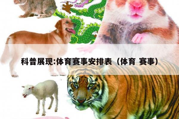 科普展现:体育赛事安排表（体育 赛事）