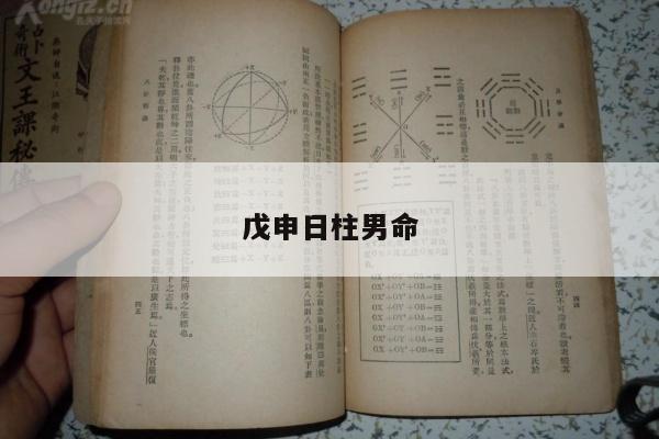 戊申日柱男命