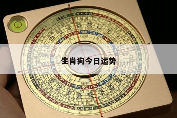 2025年5月 第69页