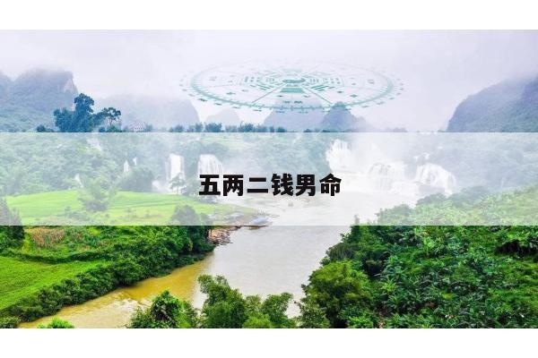 五两二钱男命