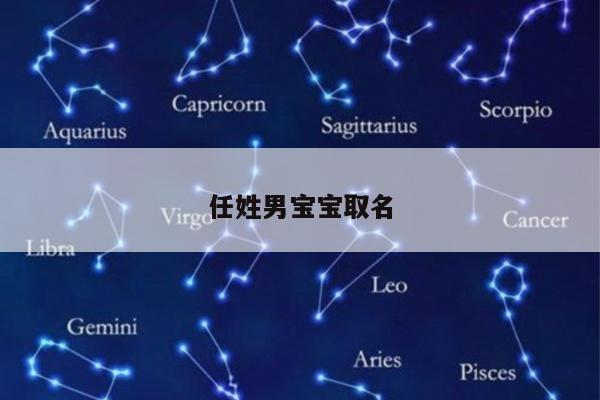 任姓男宝宝取名