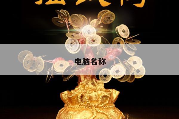 电脑名称