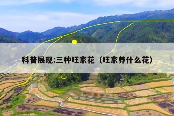 科普展现:三种旺家花（旺家养什么花）