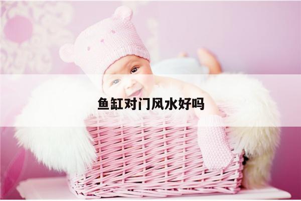 鱼缸对门风水好吗