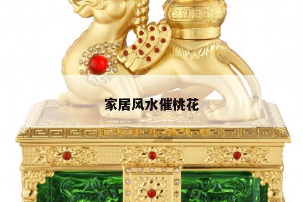 家居风水催桃花