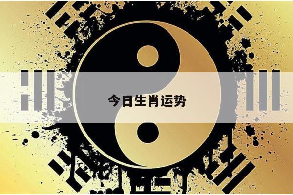今日生肖运势