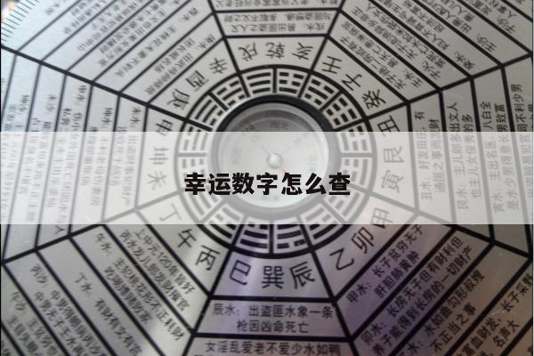 幸运数字怎么查