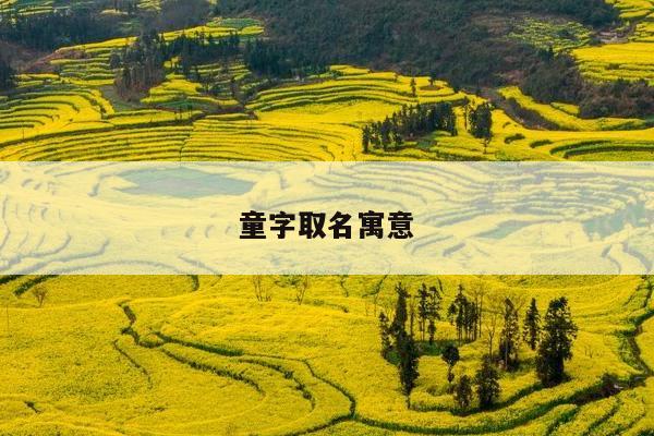 童字取名寓意