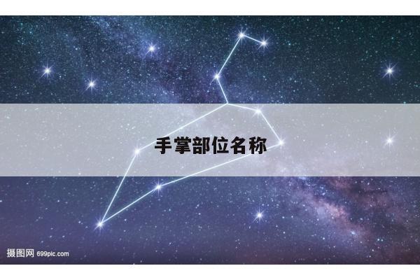手掌部位名称