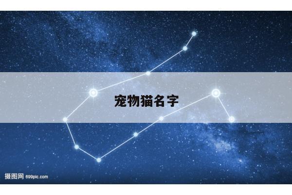 宠物猫名字