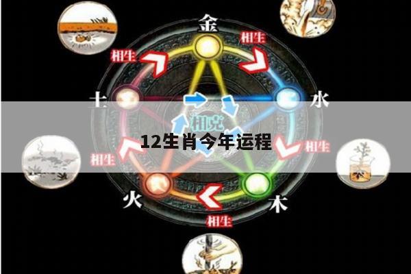 12生肖今年运程