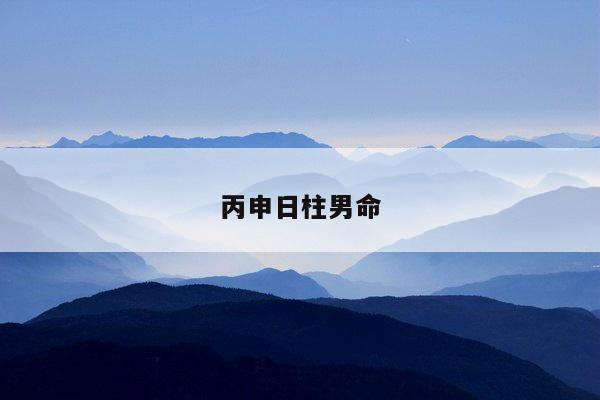 丙申日柱男命