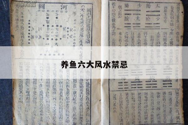 养鱼六大风水禁忌