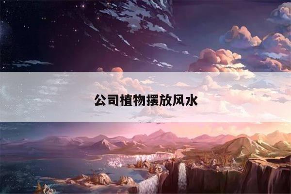 公司植物摆放风水