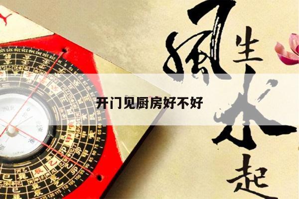 开门见厨房好不好