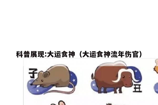 科普展现:大运食神（大运食神流年伤官）