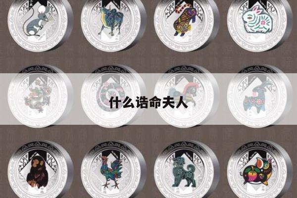 什么诰命夫人