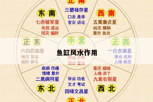 鱼缸风水作用