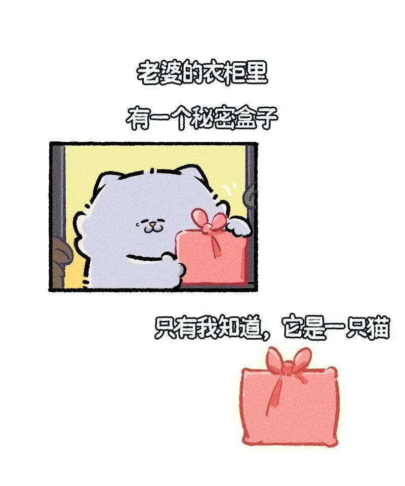 我的老婆是只猫,我的老婆是只猫免费观看