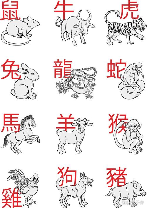 知恩图报是什么生肖,知恩图报准确的生肖