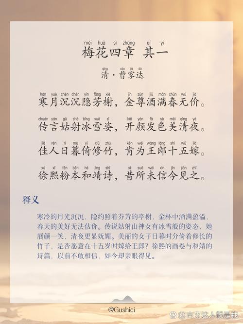 2024澳门正版梅花诗,2024澳门正版梅花诗330期的