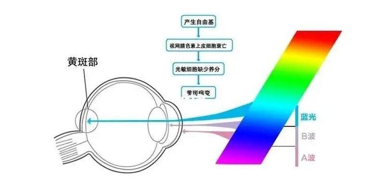 蓝光跟高清哪个好,蓝光跟高清哪个好一点