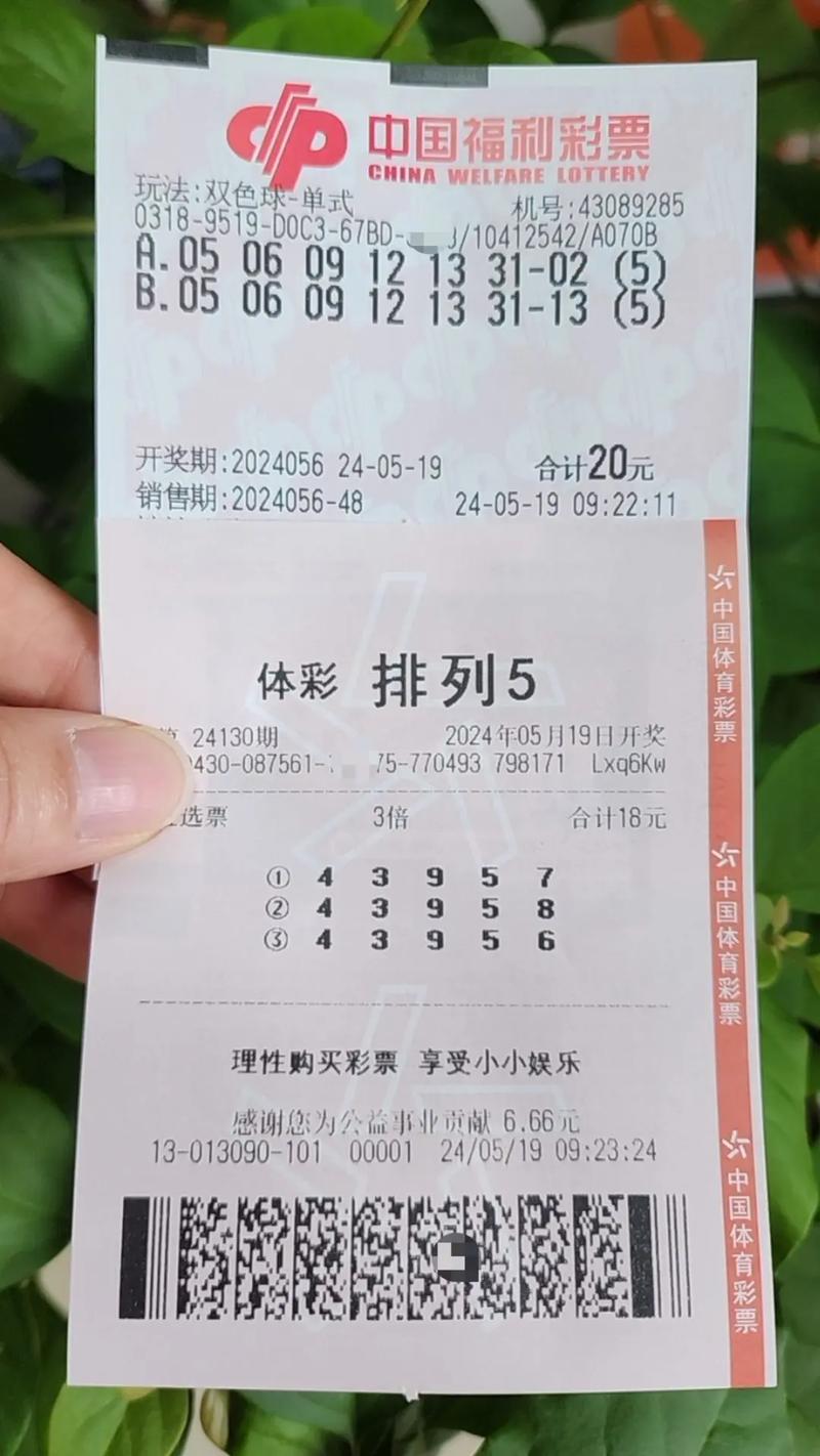 排五今日开奖结果,排五今日开奖结果号码