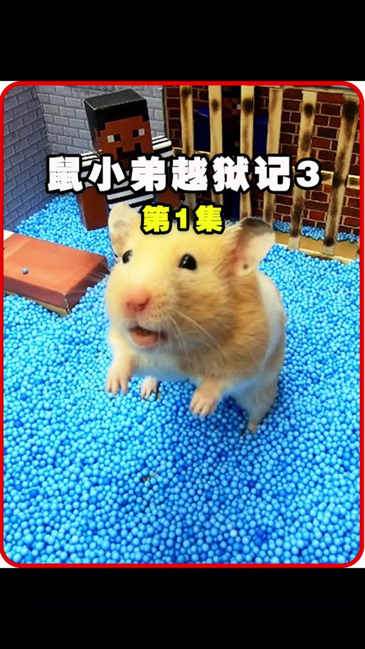 精灵鼠小弟3动画片,精灵鼠小弟3动画片免费观看