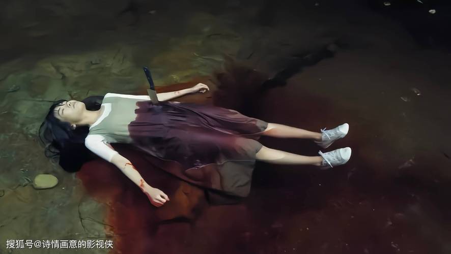 韩国r级电影美人图,美人图韩国百科