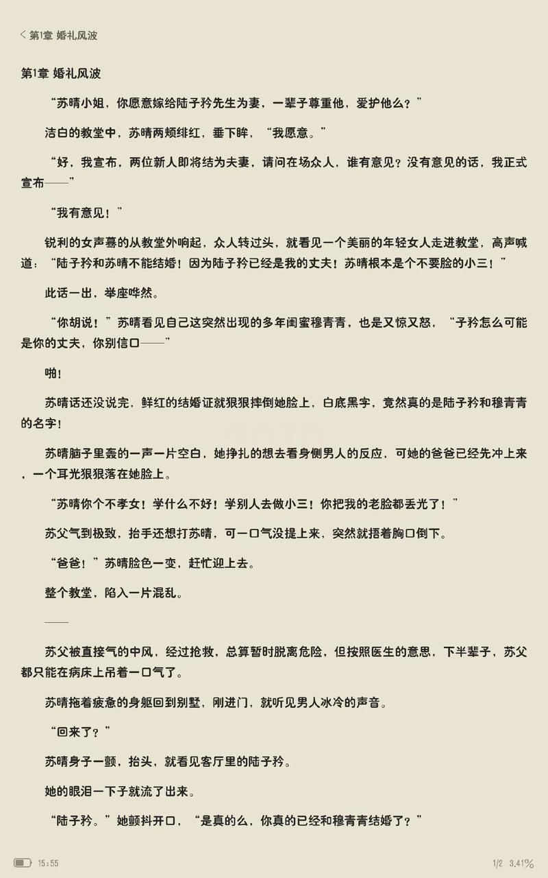 你和我的倾城时光,你和我的倾城时光小说