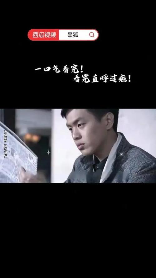 影视大全在线观看高清,黑狐影视大全在线观看高清