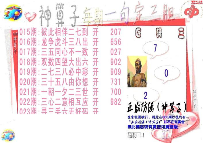 香港神算子资料免费公开,香港神算子资料免费公开的庆祝方式