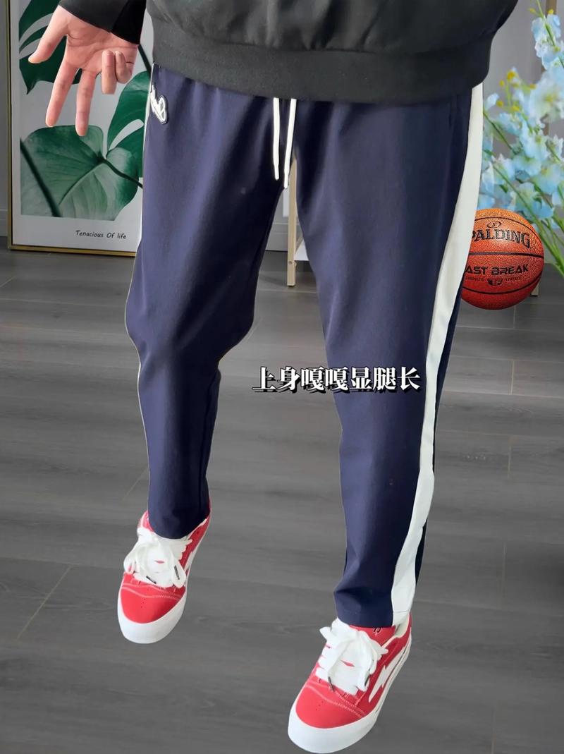 体育生训练裤买哪种,体育生训练裤买哪种好