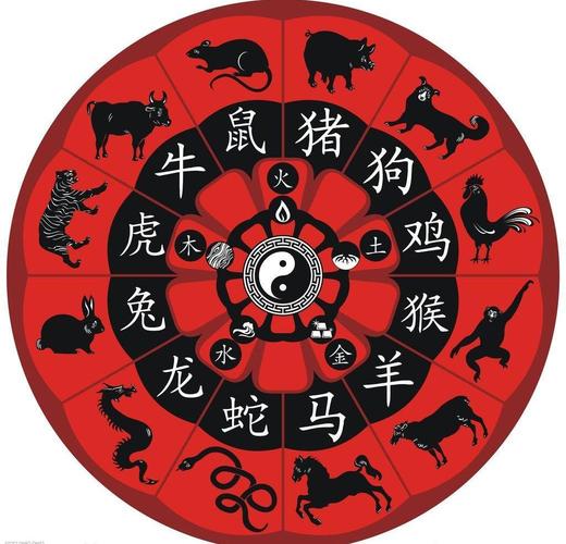 香港指的是哪个生肖,香港指的是哪个生肖的动物